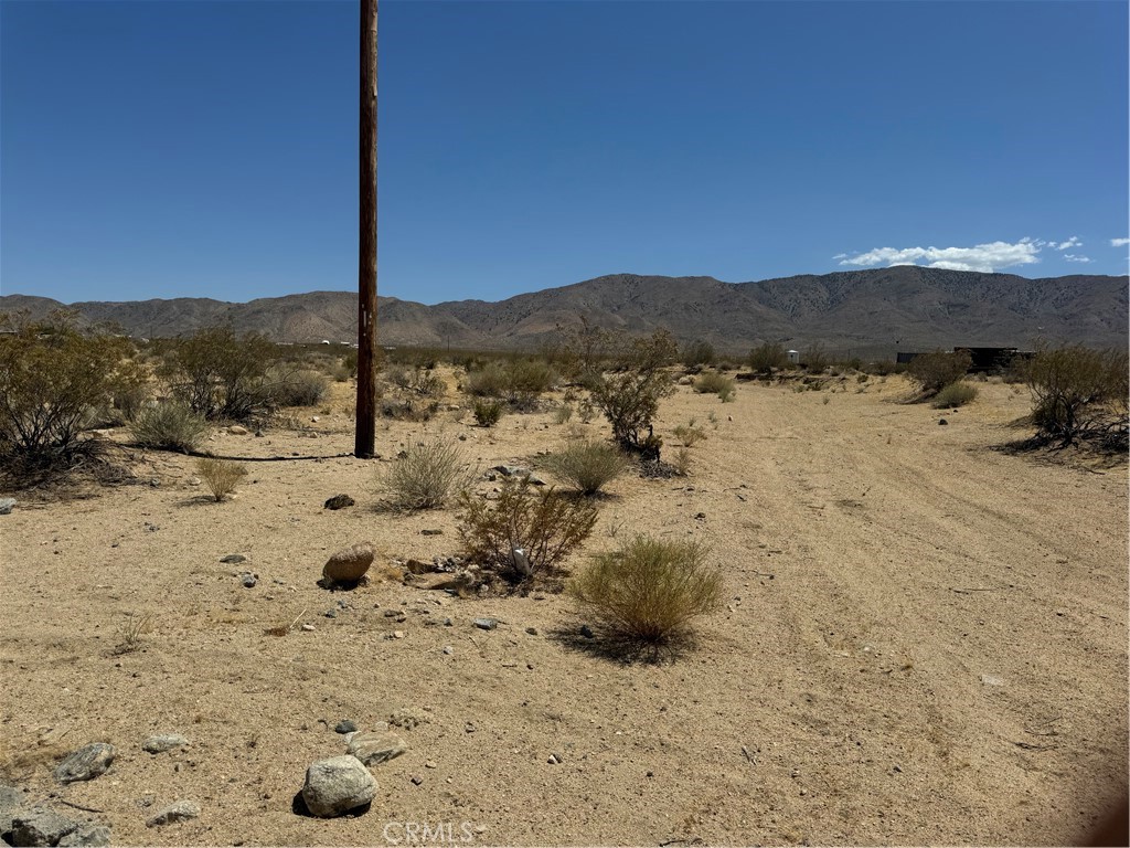 MLS #NP25170796 image #4