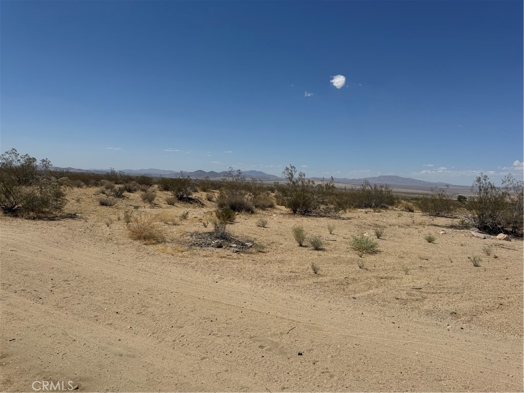 MLS #NP25170796 image #5