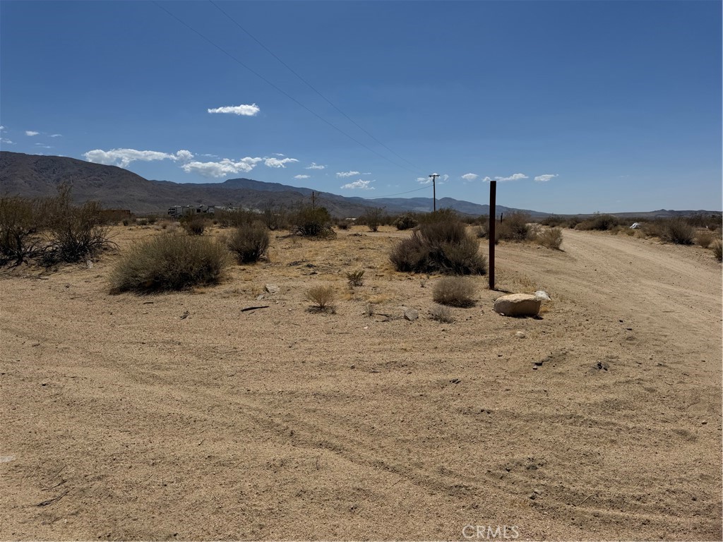 MLS #NP25170796 image #6