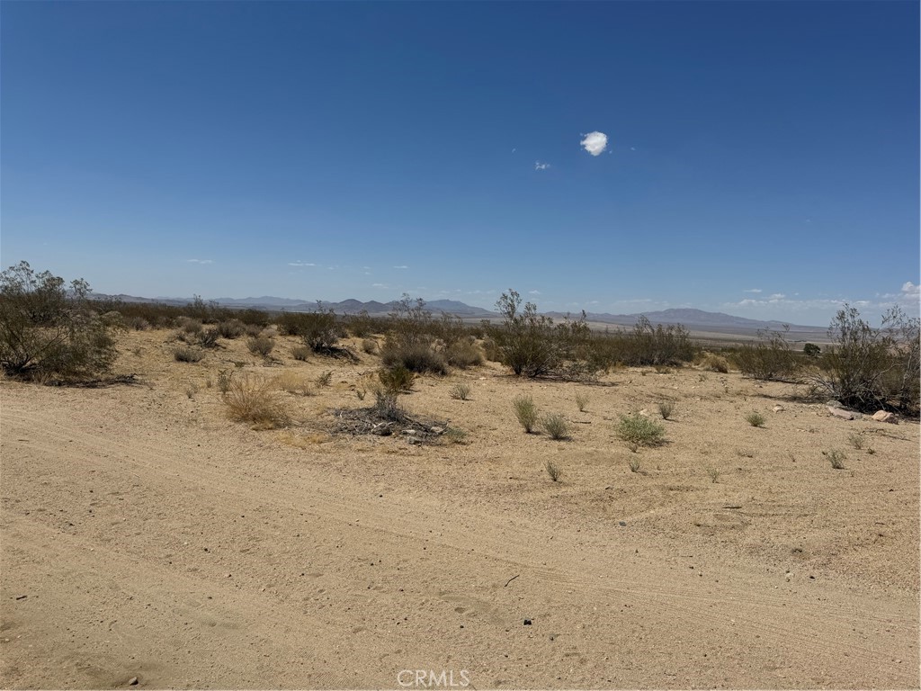 MLS #NP25170796 image #7