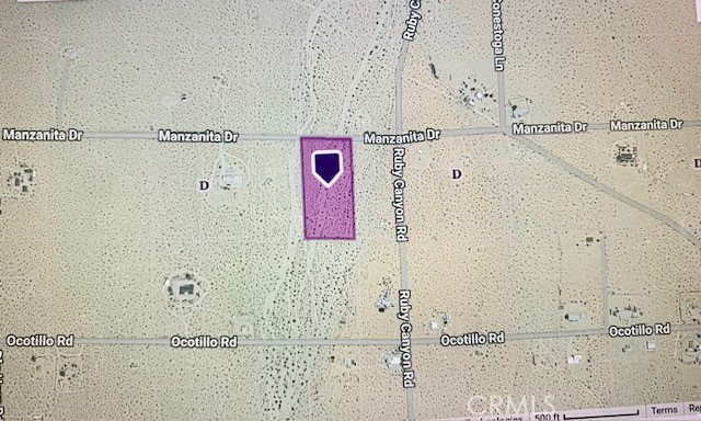 MLS #NP25170796 image #9