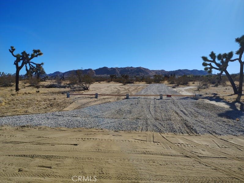 MLS #NP25186463 image #1