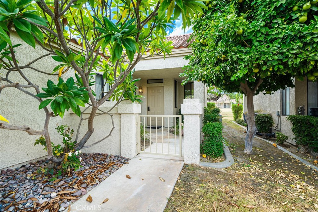 MLS #NP25244909 image #3