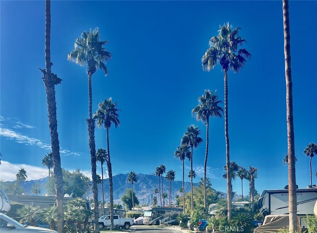 MLS #NP25249116 image #14