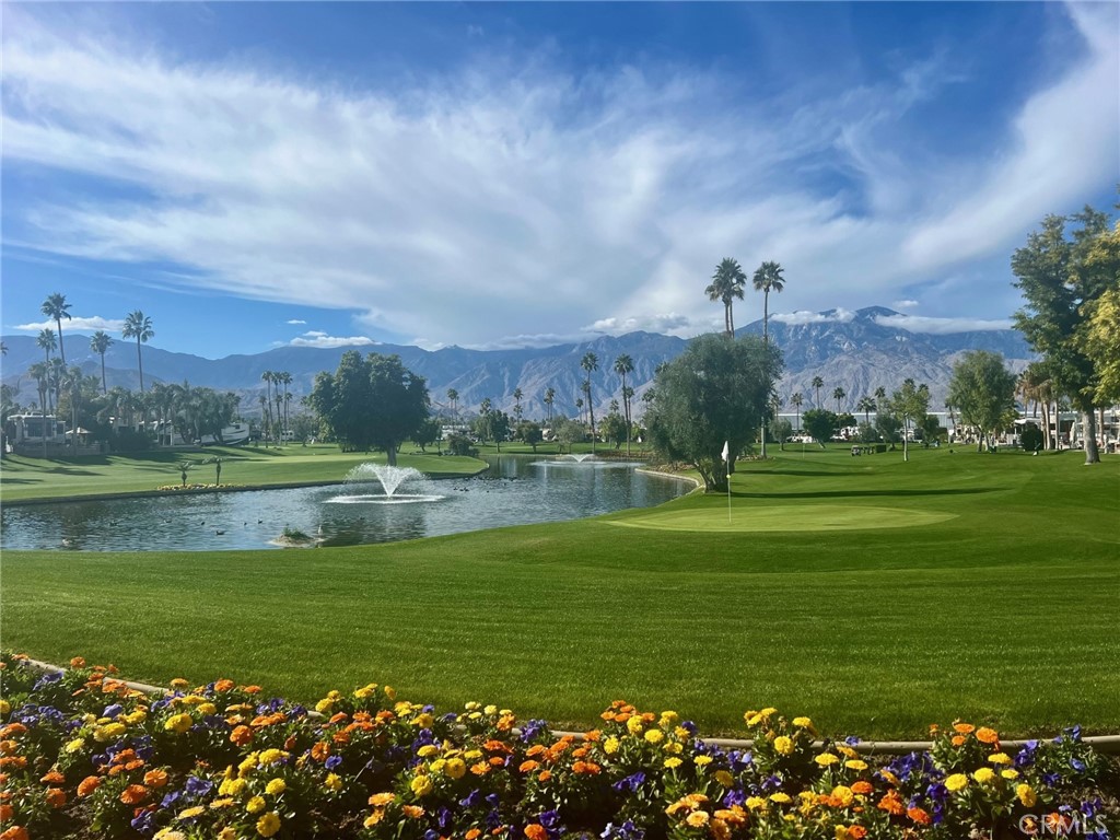 MLS #NP25249116 image #16