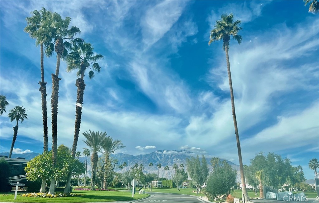 MLS #NP25249116 image #2