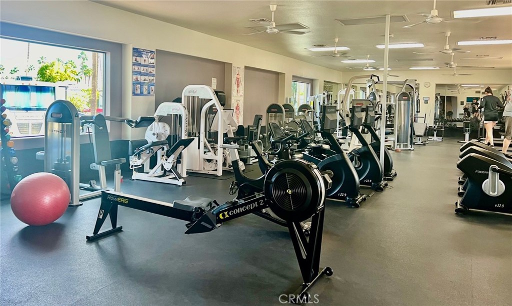 MLS #NP25249116 image #20