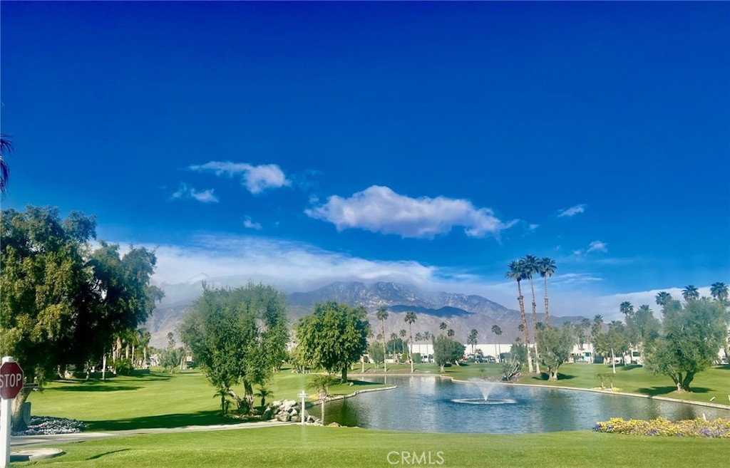 MLS #NP25249116 image #28