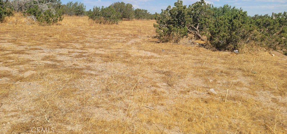 MLS #OC23151864 image #0