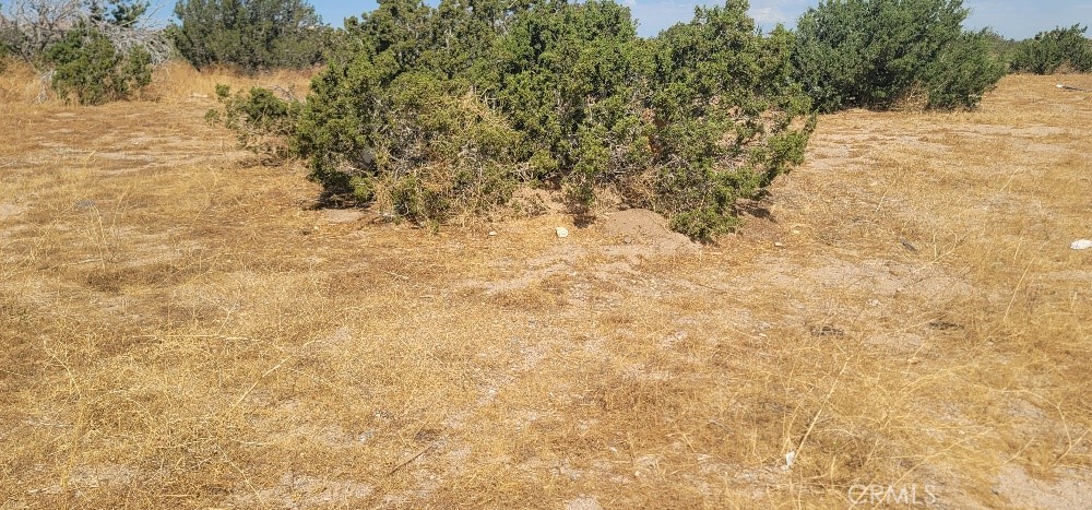 MLS #OC23151864 image #1