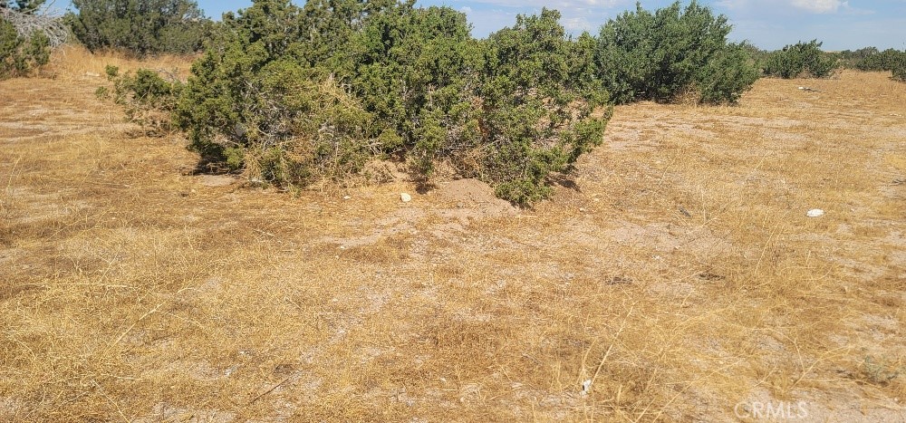 MLS #OC23151864 image #2