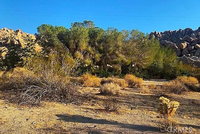 MLS #OC23216688 image #10