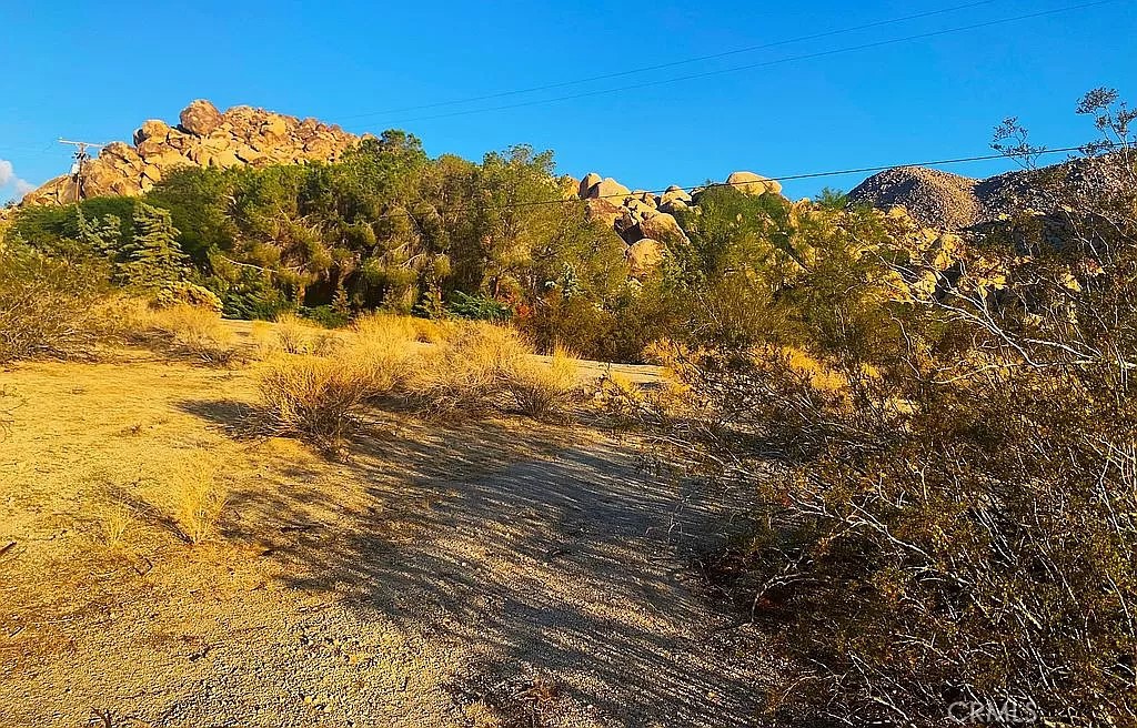 MLS #OC23216688 image #6