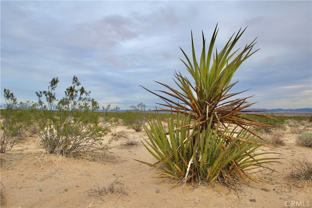 MLS #OC24073169 image #18