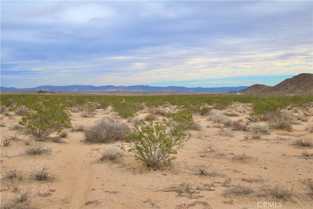 MLS #OC24073169 image #19