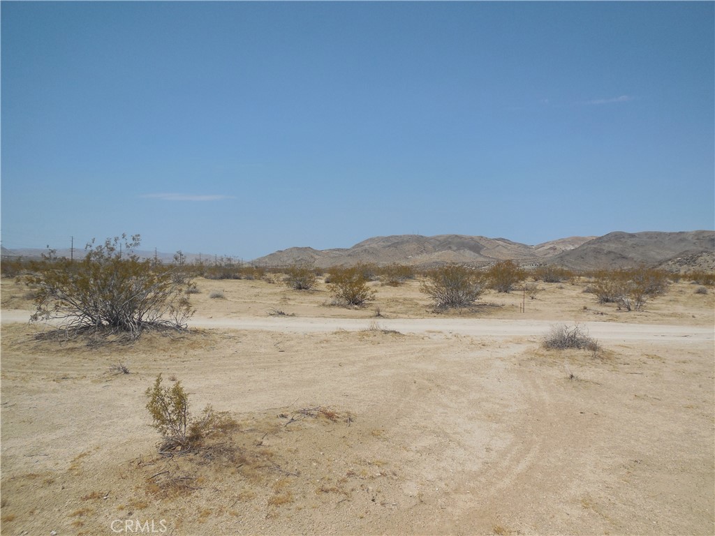 MLS #OC24137495 image #11