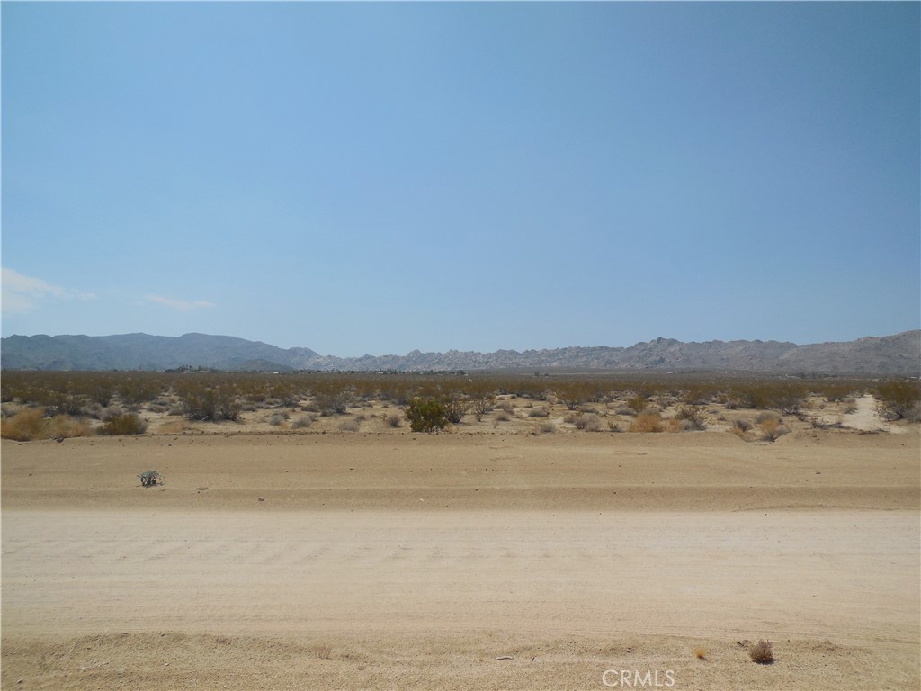 MLS #OC24137495 image #6