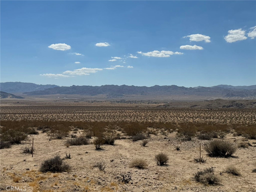 MLS #OC24185296 image #9