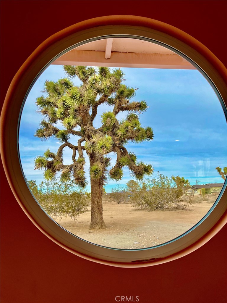 MLS #OC24238780 image #22