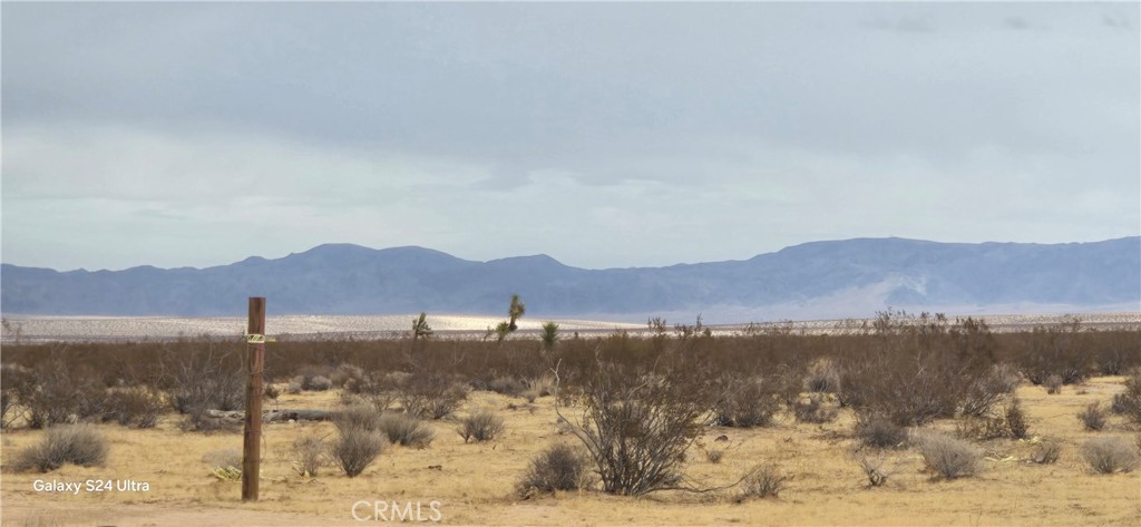 MLS #OC25004576 image #4