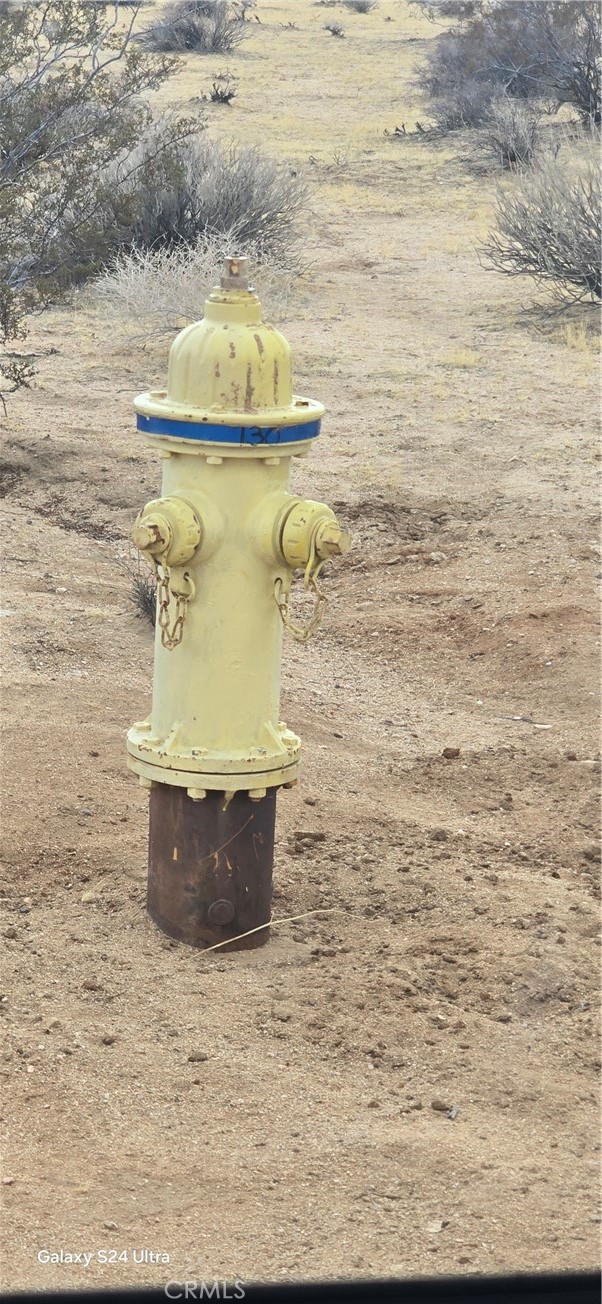 MLS #OC25004576 image #6