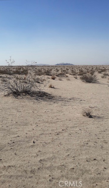 MLS #OC25024132 image #3