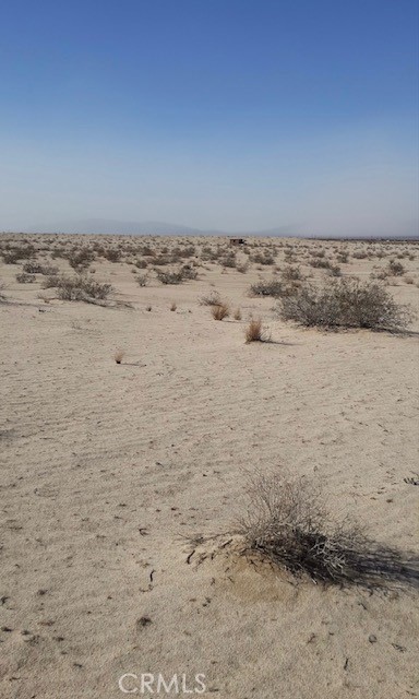 MLS #OC25024132 image #4