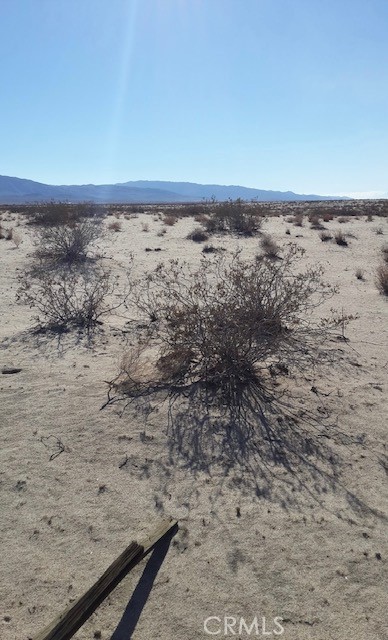 MLS #OC25024132 image #6