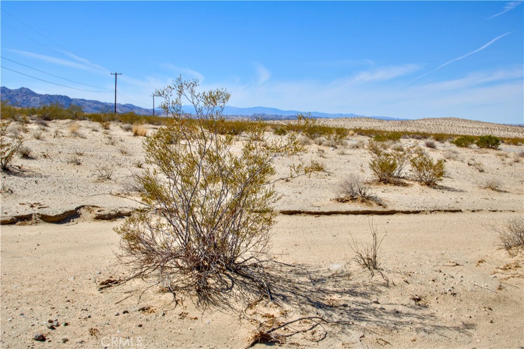 MLS #OC25047546 image #12