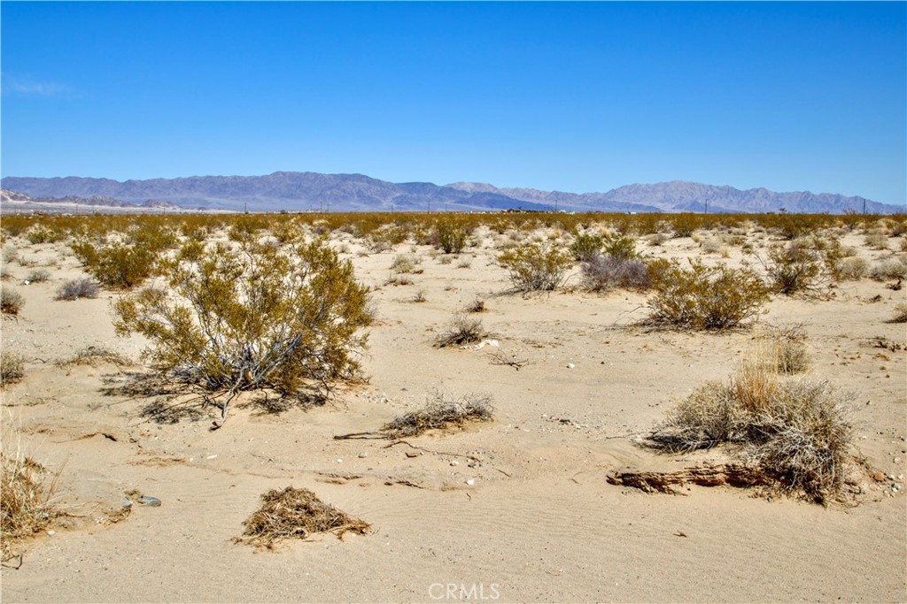 MLS #OC25047546 image #13