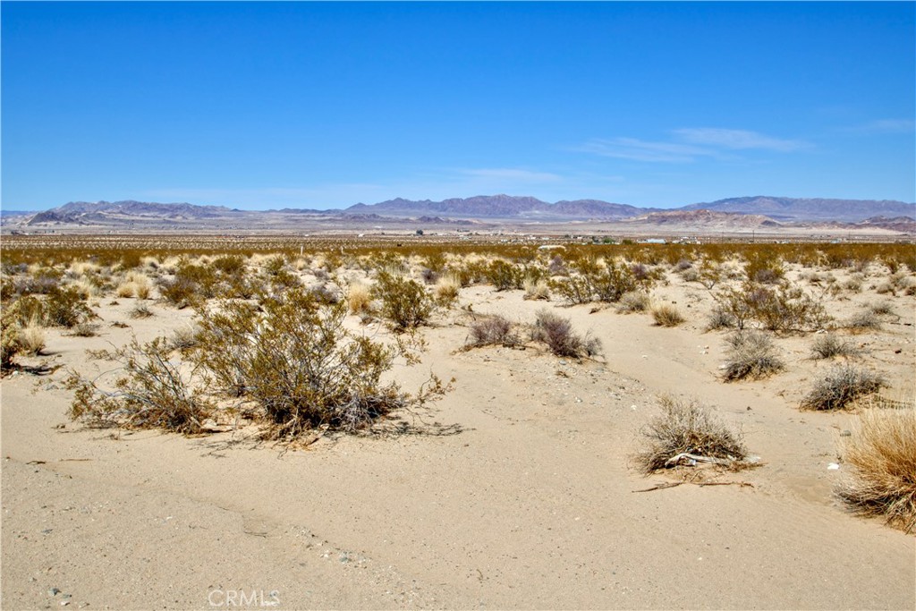 MLS #OC25047546 image #14