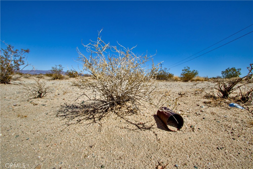 MLS #OC25047546 image #15