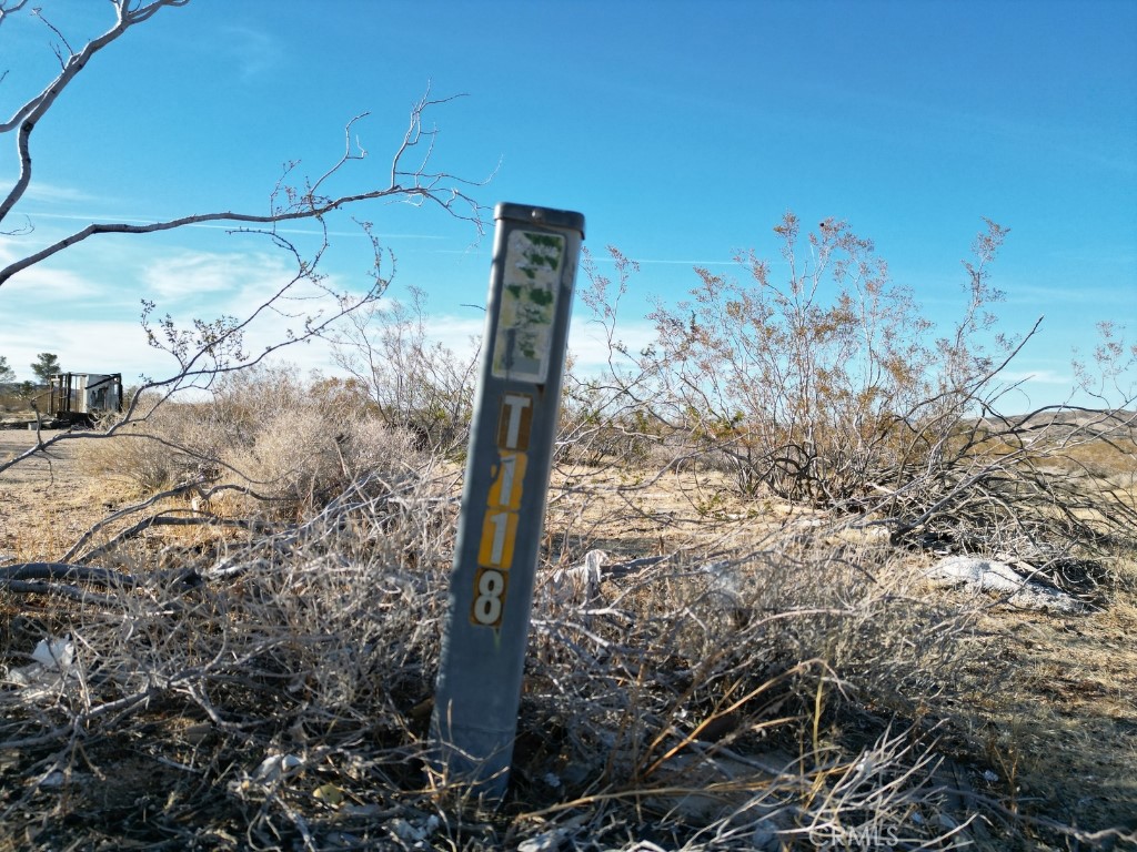 MLS #OC25058840 image #4