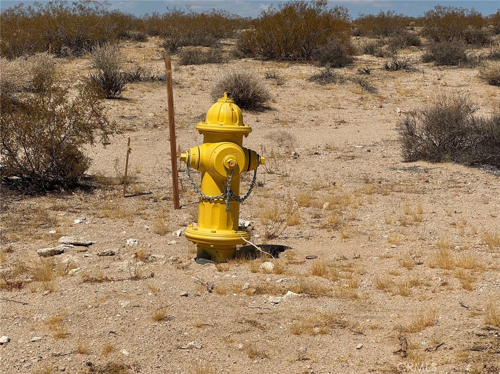 MLS #OC25069283 image #3