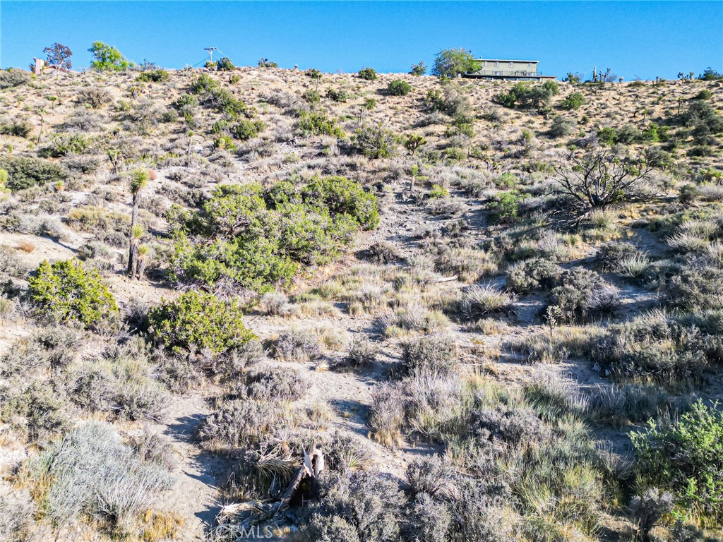 MLS #OC25098023 image #37