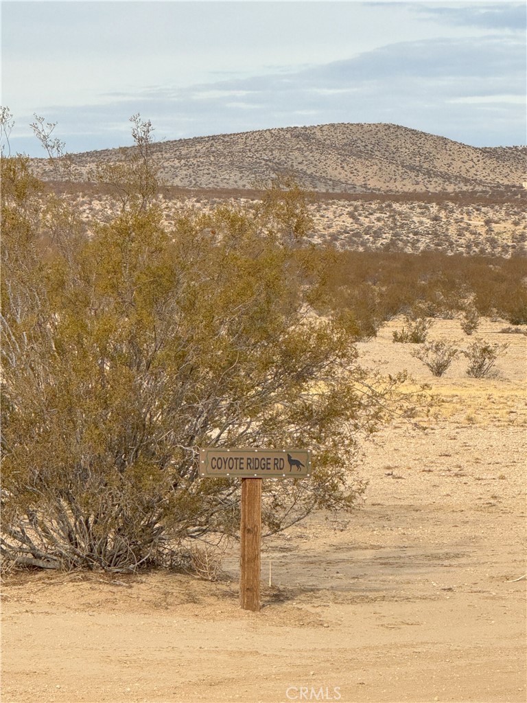 MLS #OC25102463 image #8