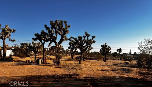 MLS #OC25132717 image #38