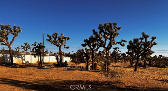 MLS #OC25132717 image #39