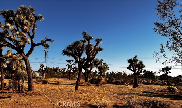 MLS #OC25132717 image #42