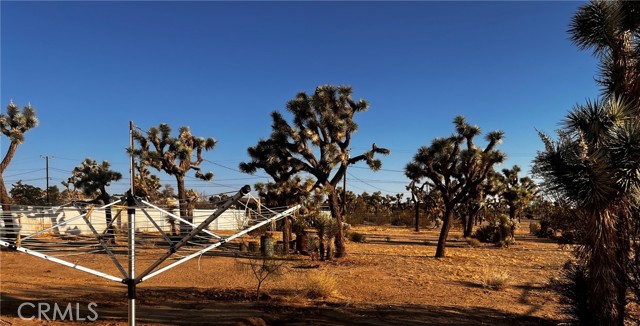 MLS #OC25132717 image #44