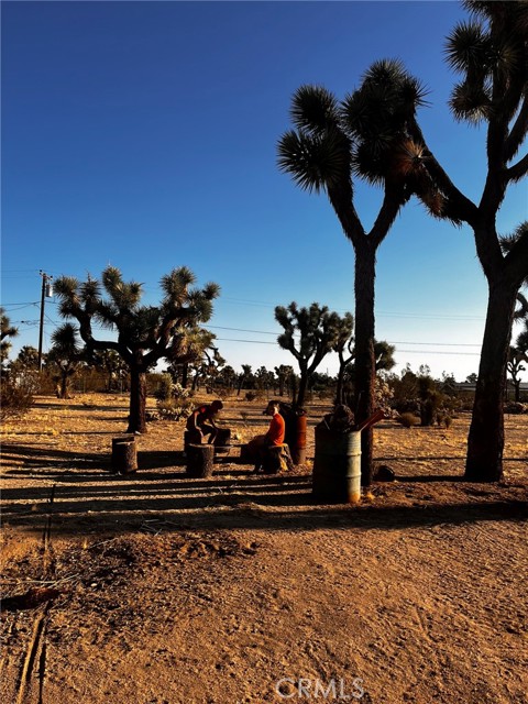 MLS #OC25132717 image #46