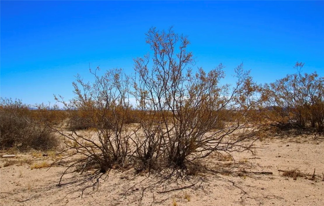 MLS #OC25142642 image #12