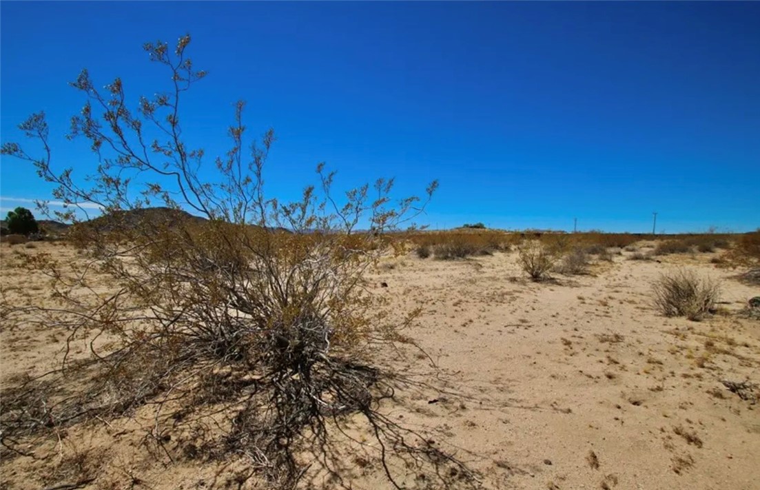 MLS #OC25142642 image #7