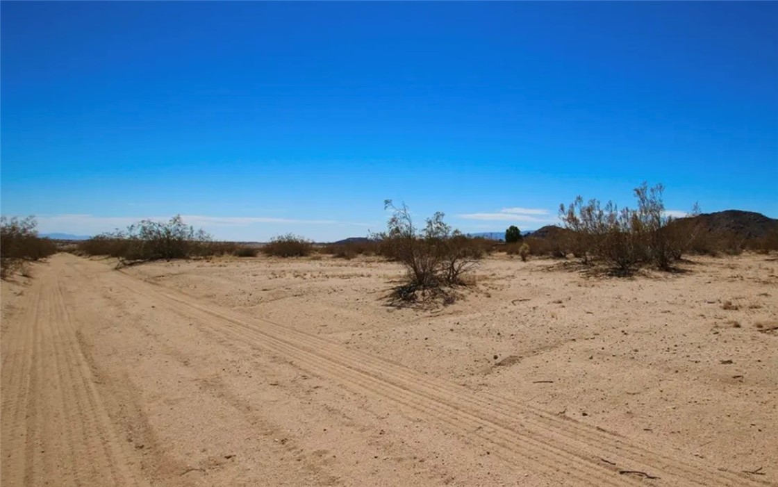 MLS #OC25142642 image #9