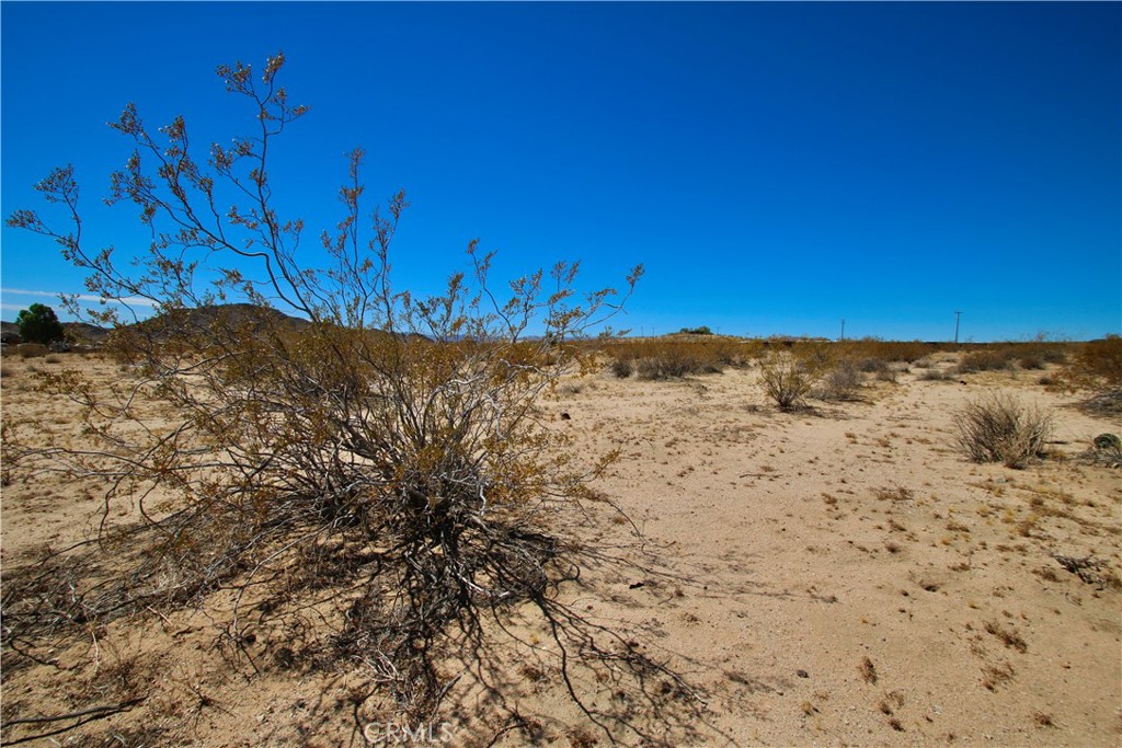 MLS #OC25142643 image #11