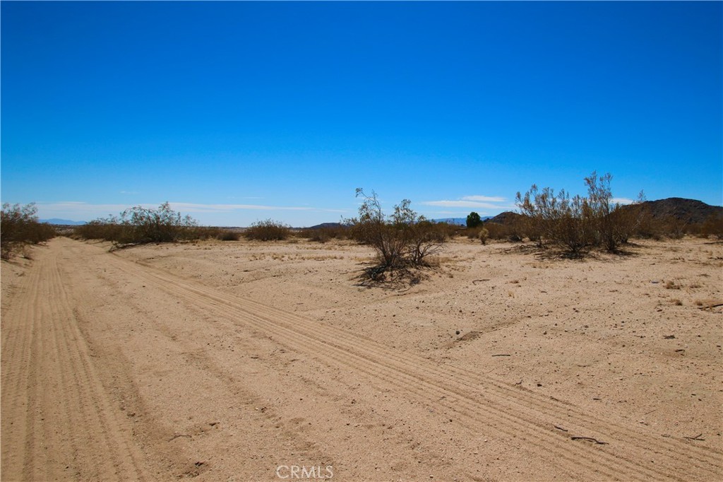 MLS #OC25142643 image #14