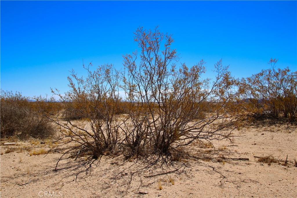 MLS #OC25142643 image #6