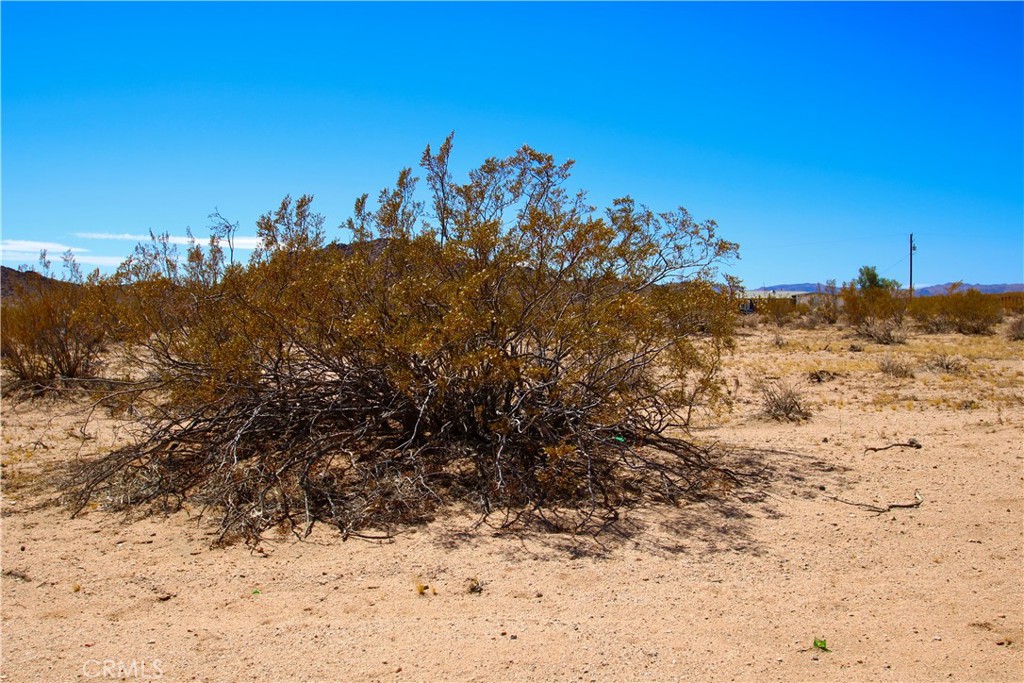 MLS #OC25142643 image #7