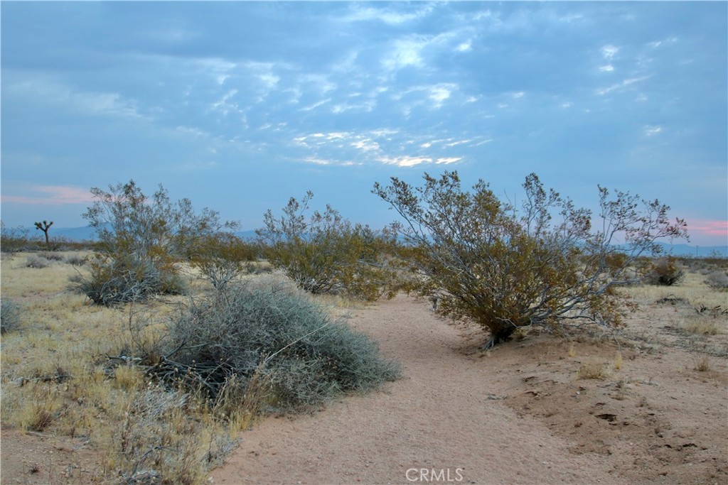 MLS #OC25148379 image #19