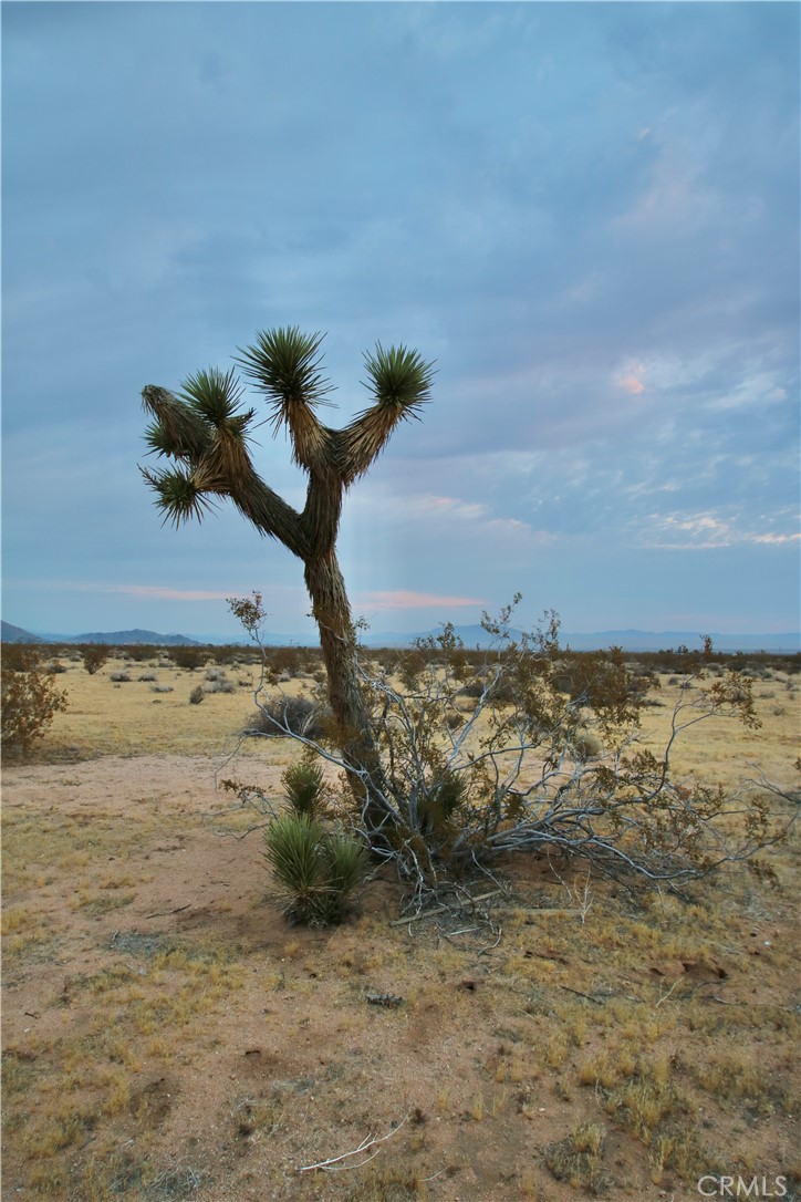 MLS #OC25148379 image #20